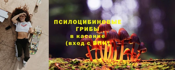 ECSTASY Абинск
