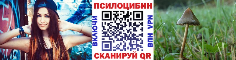 Псилоцибиновые грибы Magic Shrooms  купить закладку  Комсомольск-на-Амуре 